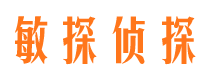 安国寻人公司